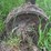john-deere-g-image-84