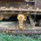 allis-chalmers-l-crawler-image-10