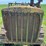 caterpillar-thirty-image-9