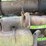 john-deere-g-image-42