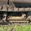 caterpillar-ten-crawler-image-22