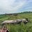 bumper-hitch-18’-deckover-trailer-image-4