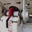2007-axle-dump-trailer-image-7