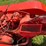 oto-primasole-single-cylinder-diesel-crawler-rare!-image-29
