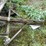 #7494-•-antique-seeder-image-9