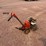 #239-•-lot-239-image-12