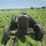 ji-case-tractor-image-8