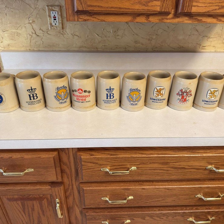 German Steins