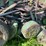 john-deere-model-a-image-44