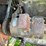 co-op-tractor-image-56