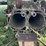 john-deere-d-image-14