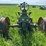 john-deere-model-a-image-4