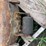 john-deere-110-image-82