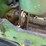 john-deere-50-image-69