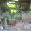 john-deere-d-image-34