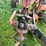 #7468-•-international-harvester-multi-bottom-plow-image-21