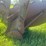 john-deere-plow-image-14
