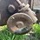 allis-chalmers-20-35-image-42