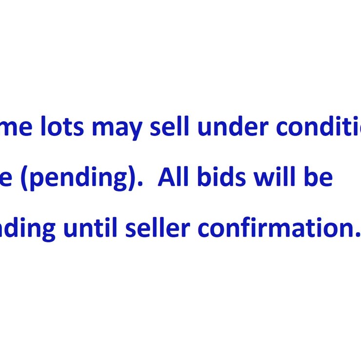 #3 • Conditional Sale