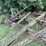 #7451-•-pull-behind-field-cultivator-image-11