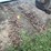 #7484-•-(2)-tire-chains-image-1
