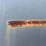2014-tiger-7'-x-16'-t/a-gooseneck-trailer-image-15