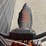 2021-ktm-450-sx-f-motorcycle-image-11