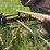allis-chalmers-20-35-image-13