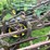 #7465-•-john-deere-3-bottom-plow-image-16
