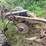 #7460-•-unknown-brand-2-bottom-plow-image-9