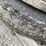 11r24.5-tires-&-rims-image-12