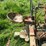 farmall-f30-image-34
