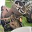 #6699-•-antique-farm-machinery-image-2