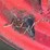 farmall-f30-image-13