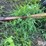 elk-creek-manufactuting-portable-hay-feeder-image-9