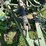 john-deere-50-image-79