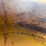 minneapolis-moline-gvi-image-43