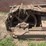 caterpillar-twenty-crawler-image-79
