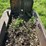 caterpillar-ten-crawler-image-33