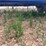 2012-76"-x-20'-t/a-gooseneck-trailer-image-13