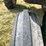 1953-john-deere-g-image-20
