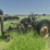 john-deere-model-b-image-1
