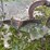 #7492-•-antique-plow-image-13