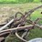 #7460-•-unknown-brand-2-bottom-plow-image-7