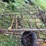 #7455-•-hay-rake-image-26
