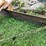 #7475-•-servis-brand-plow-image-8