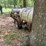 #1012-•-lowboy-trailer-with-commercial-heated-pressure-washer-image-2