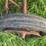 allis-chalmers-b-image-22