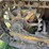 caterpillar-thirty-image-59