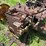 john-deere-720-standard-diesel-image-28